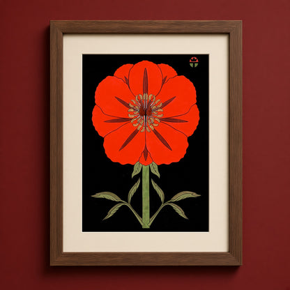 Poppy
