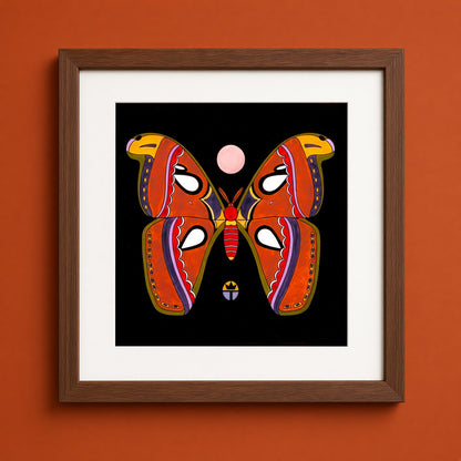 Atlas Moth