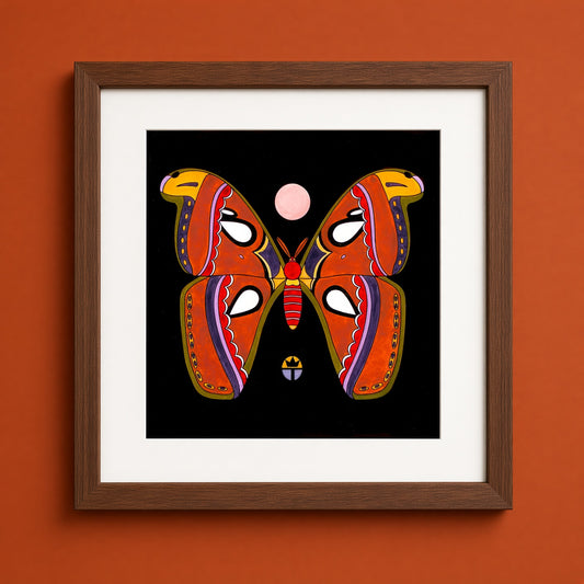 Atlas Moth