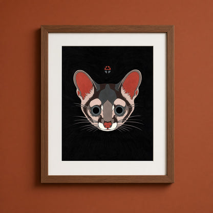 Ringtail Cat