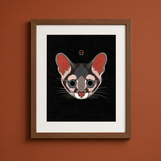Ringtail Cat