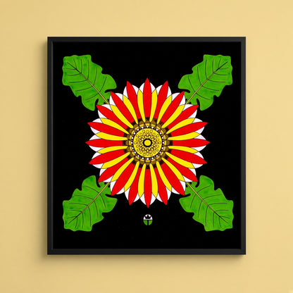 African Daisy