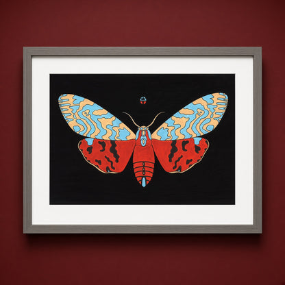 Tiger Moth