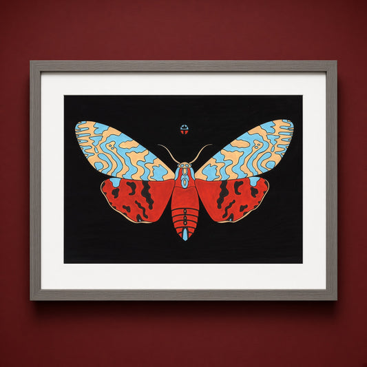 Tiger Moth