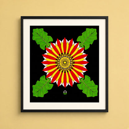African Daisy