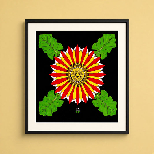 African Daisy