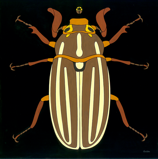 June Beetle