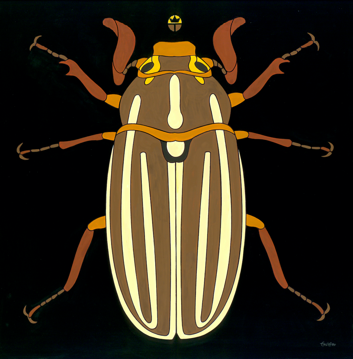 June Bug