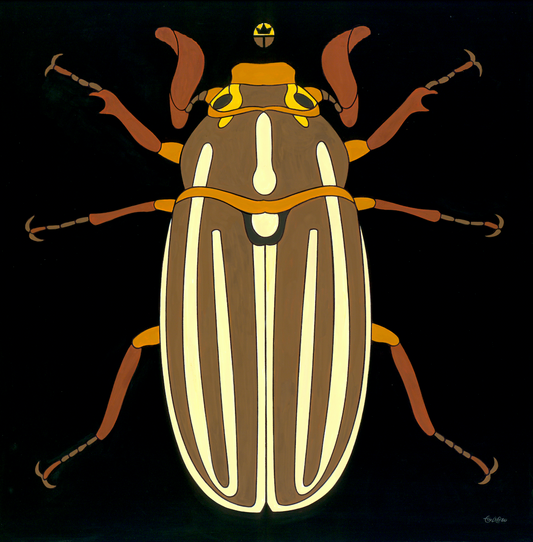 June Bug