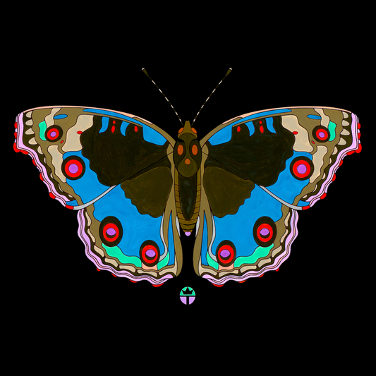 Junonia