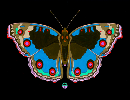 Junonia