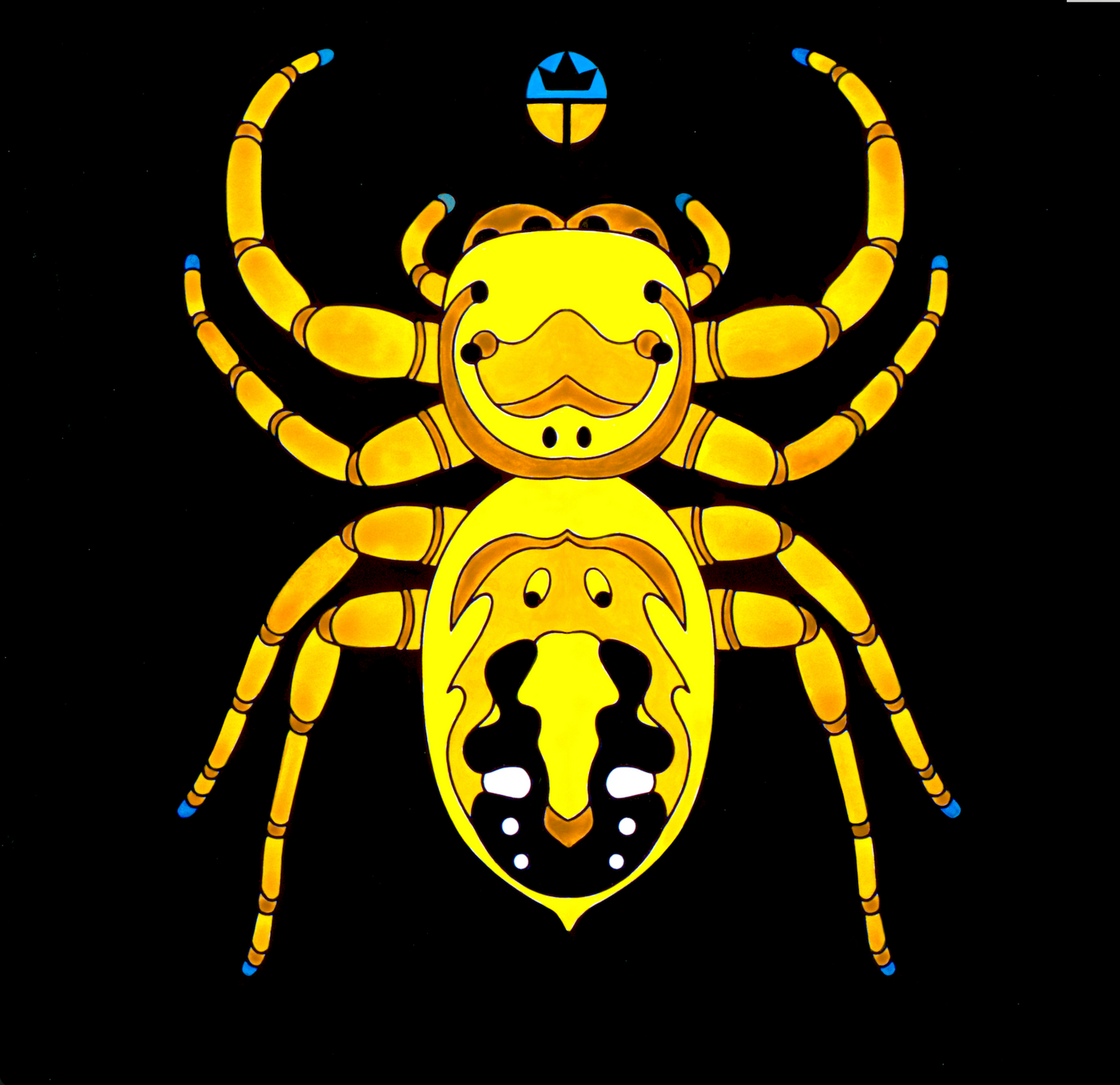 Juvenile Apache Jumping Spider