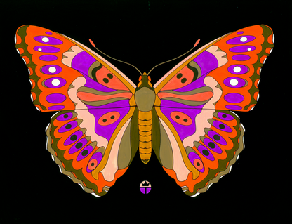 Lesser Purple Empress