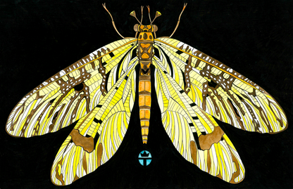 May Fly
