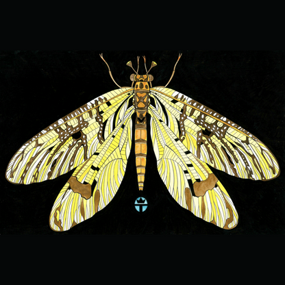 May Fly