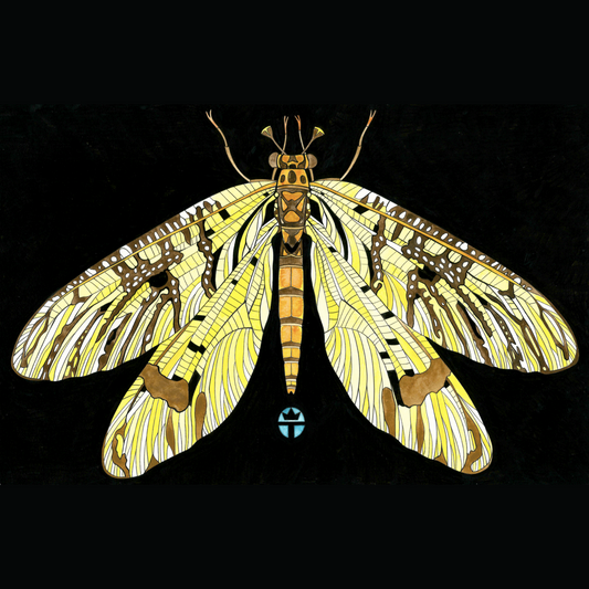 May Fly