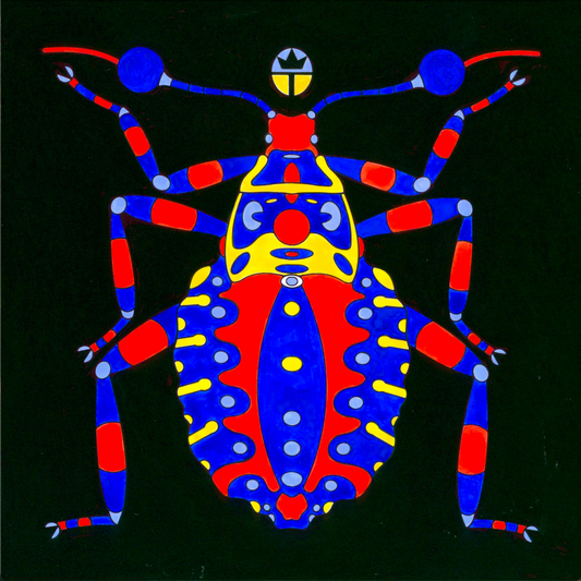 Mesquite Bug Nymph