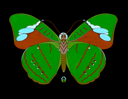 Nessaea Aglaura