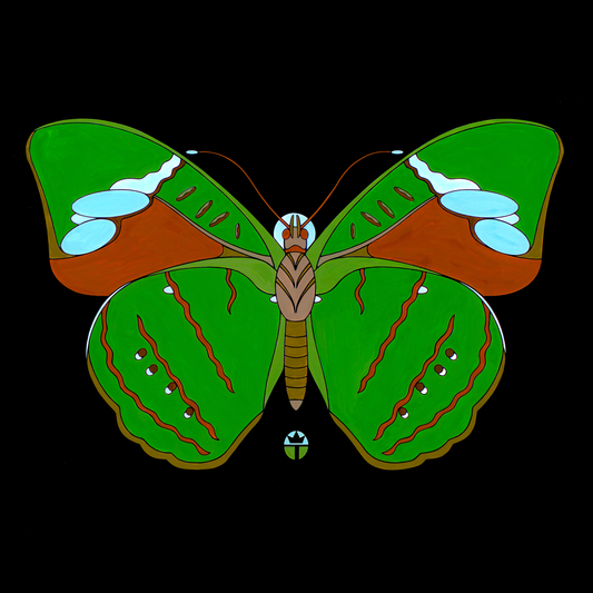 Nessaea Aglaura