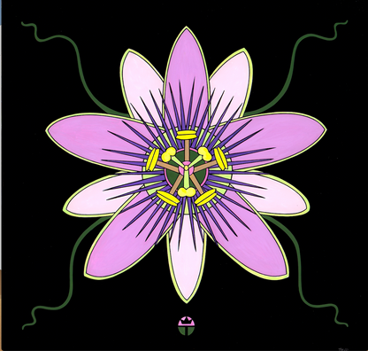 Passion Flower