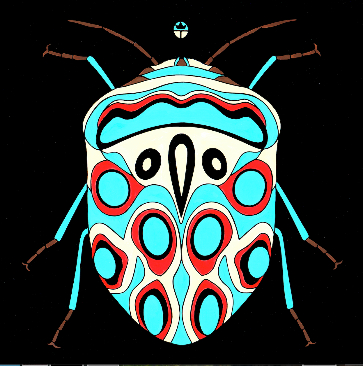 Picasso Bug