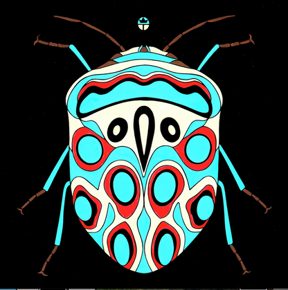 Picasso Bug