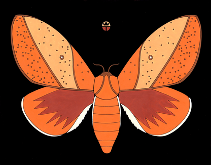 Sphingcampa