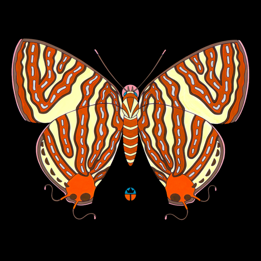 Spindasis Seliga