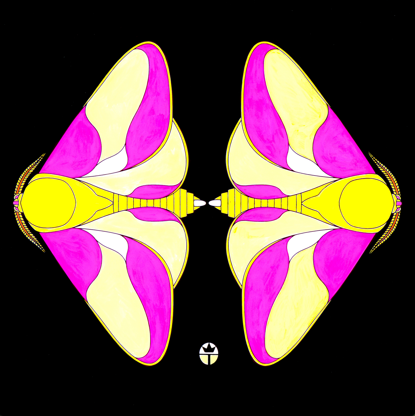 Marvelous Moths