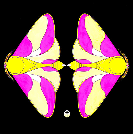 Marvelous Moths