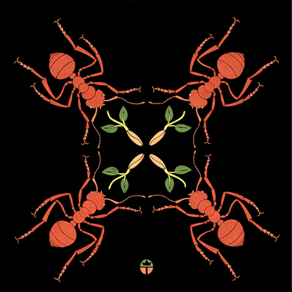 The Seed of Life