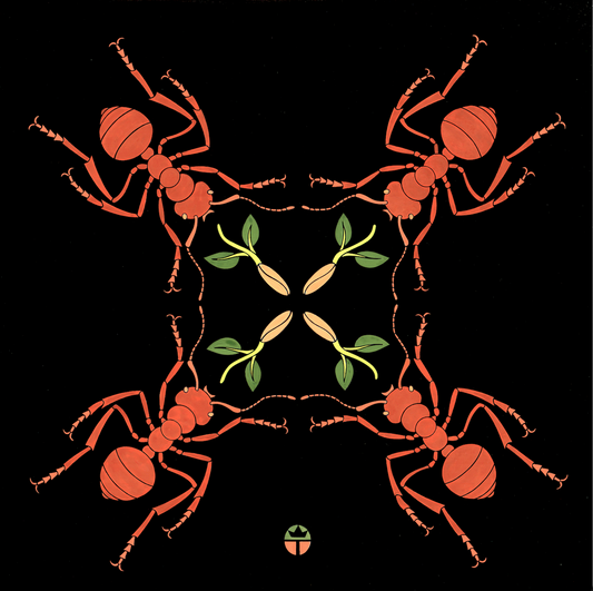 The Seed of Life