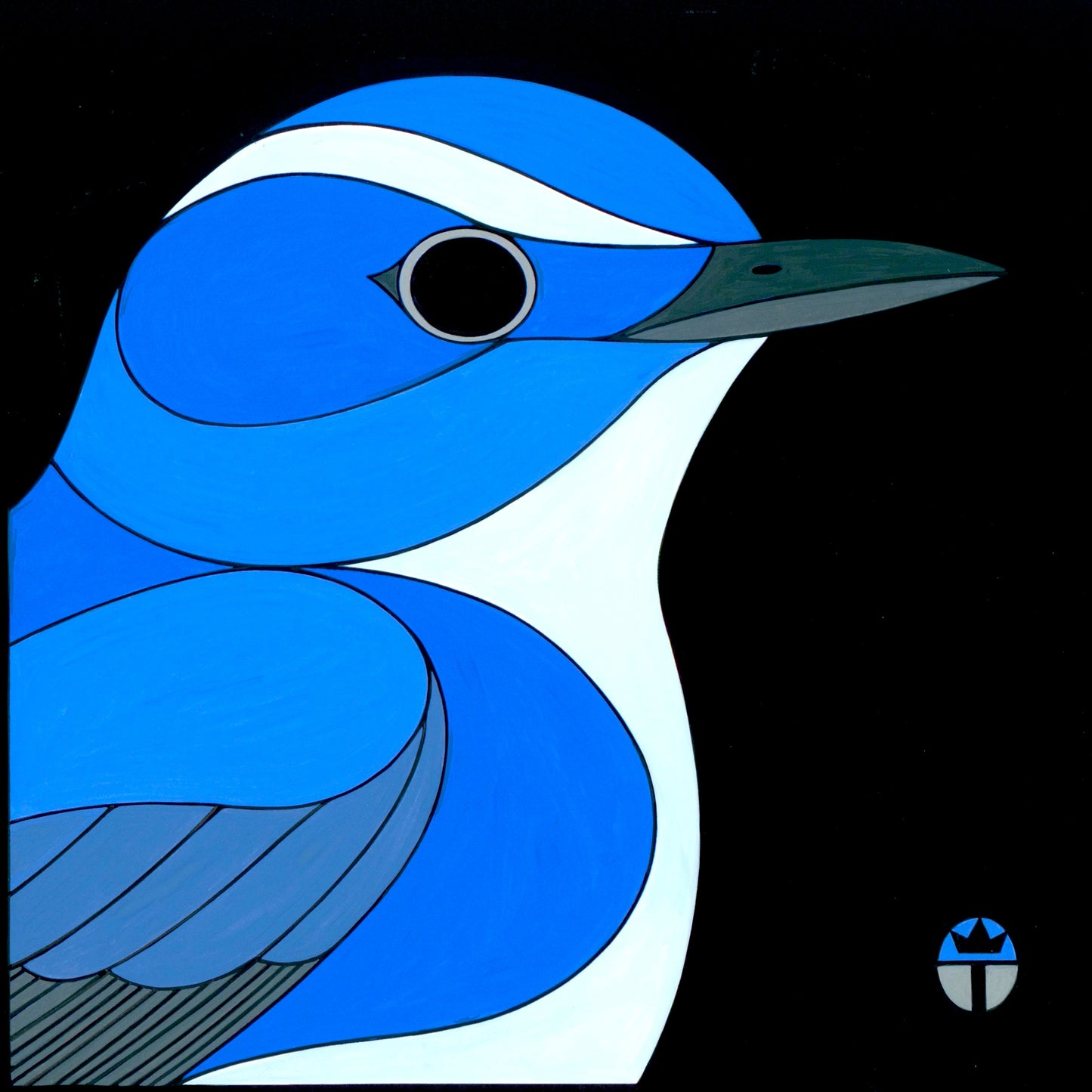 Ultramarine Flycatcher