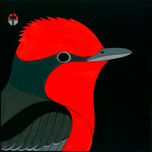 Vermillion Flycatcher