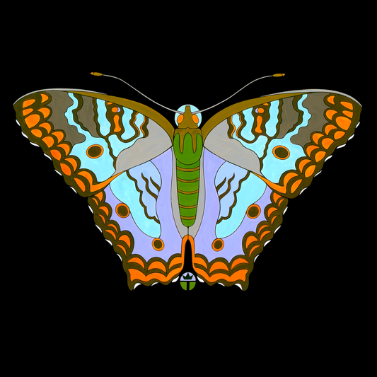 White Peacock