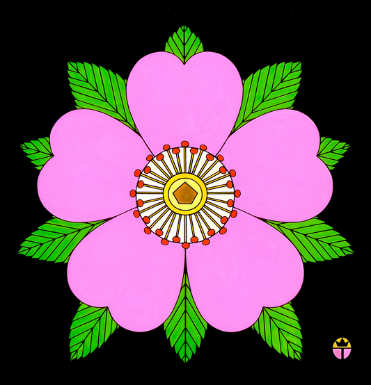Wild Rose