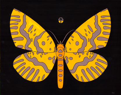 Xanthas Bracas