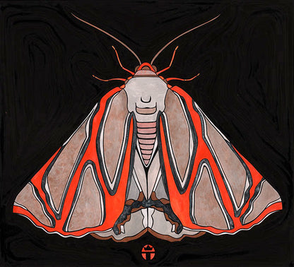 Beautiful Moth
