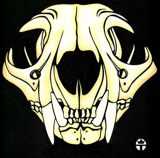 Bobcat Skull