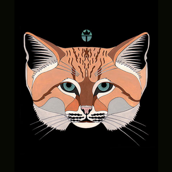 Sand Cat