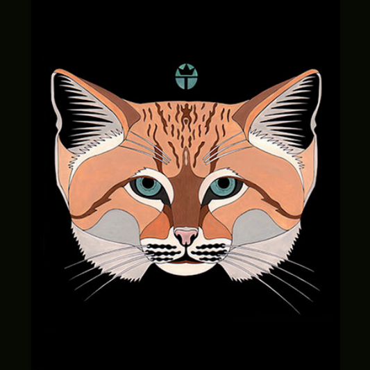 Sand Cat