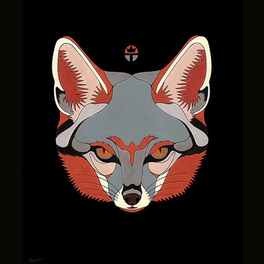 Gray Fox