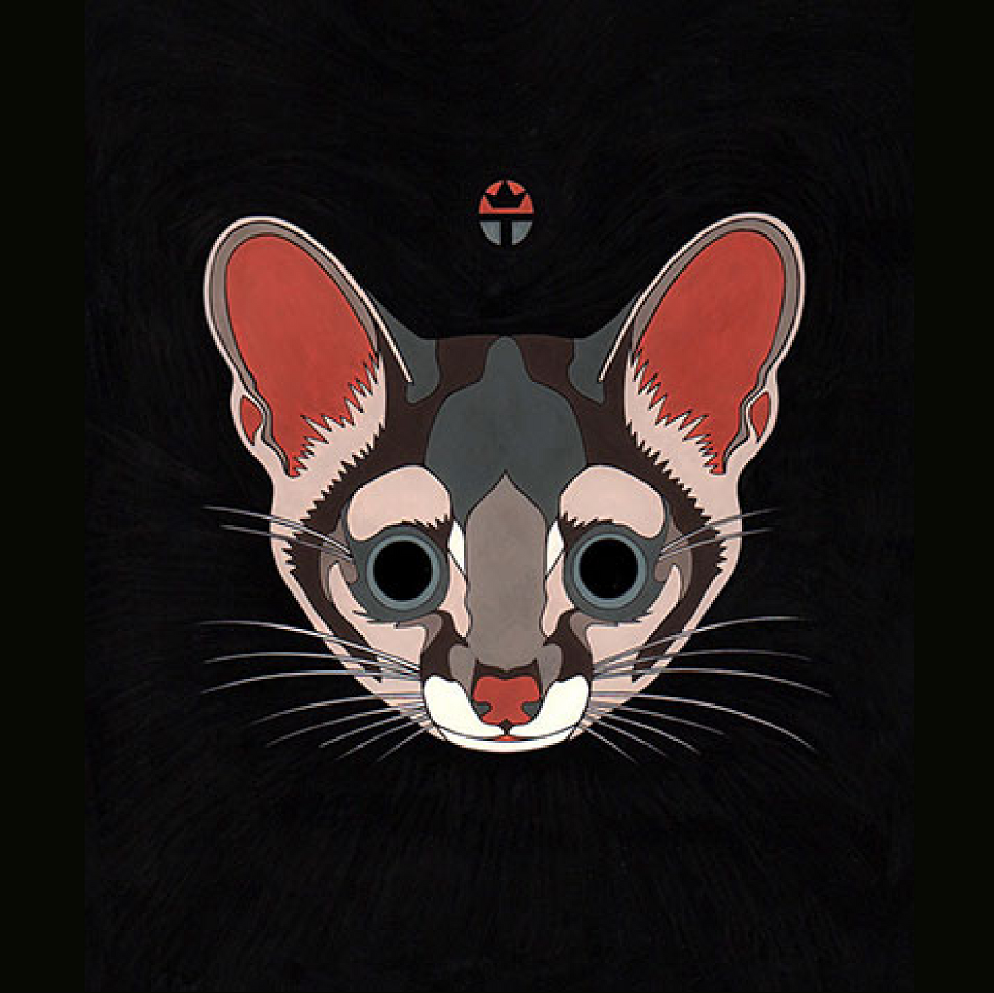 Ringtail Cat
