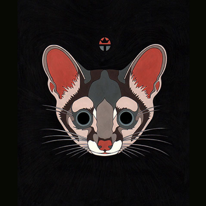 Ringtail Cat