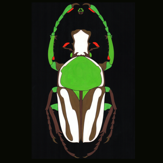 Beautyfull Beetle 2