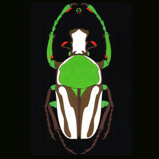 Beautyfull Beetle 2