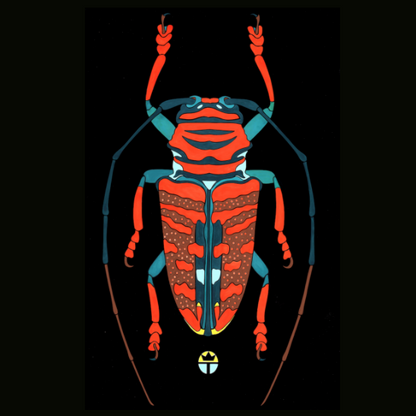 Beautyfull Beetle 1