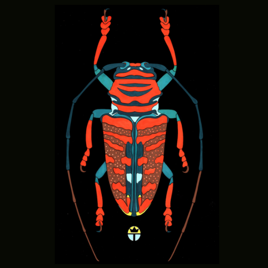 Beautyfull Beetle 1