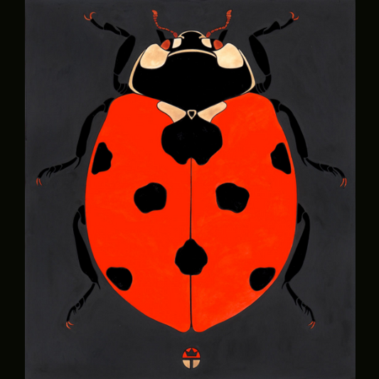 Ladybug