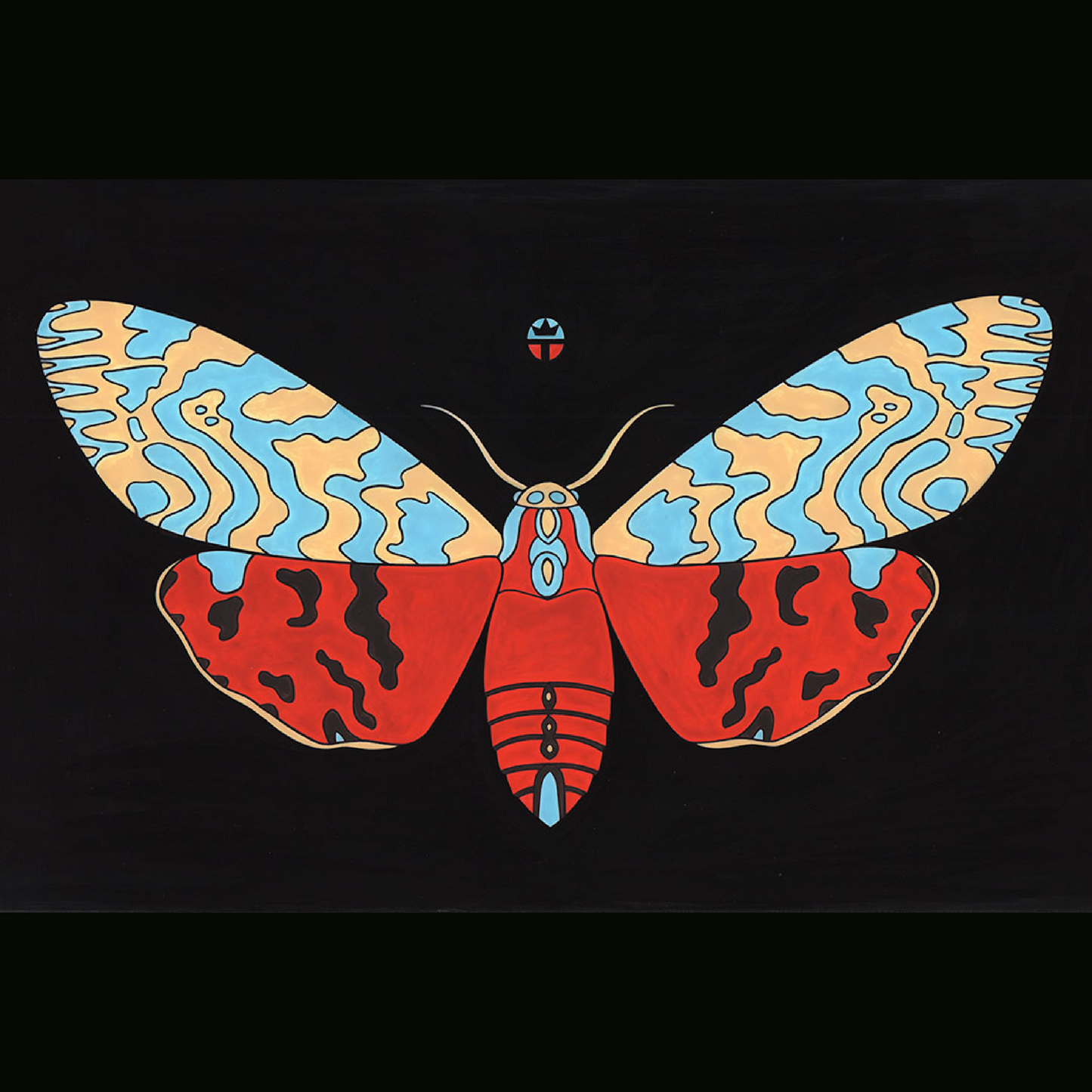 Tiger Moth
